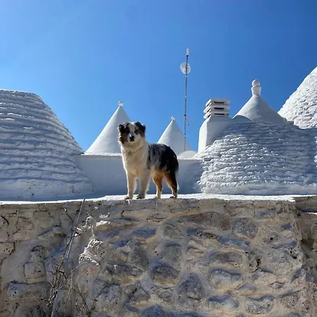 Trulli Lenuccia Villa Ceglie Messapica