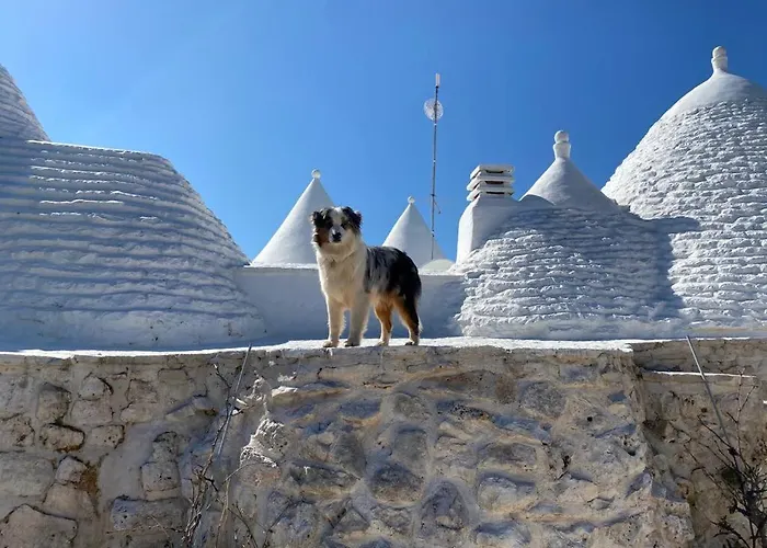Trulli Lenuccia 别墅 切列梅萨皮卡